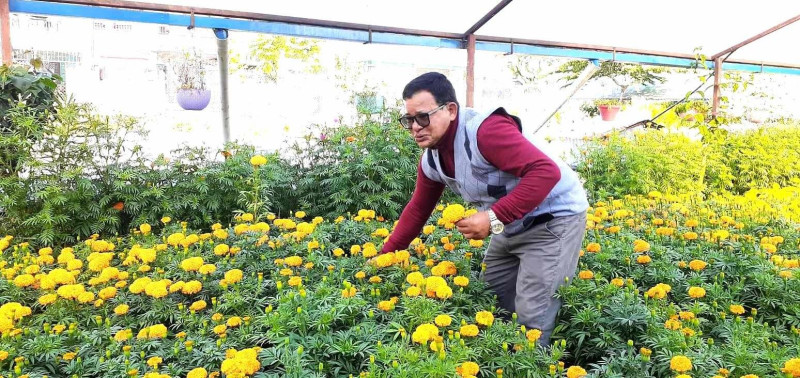 ...अनि डिलबहादुरलाई लाग्यो – भो मलेसिया फर्किन्नँ, यतै माटोसँग खेल्छु